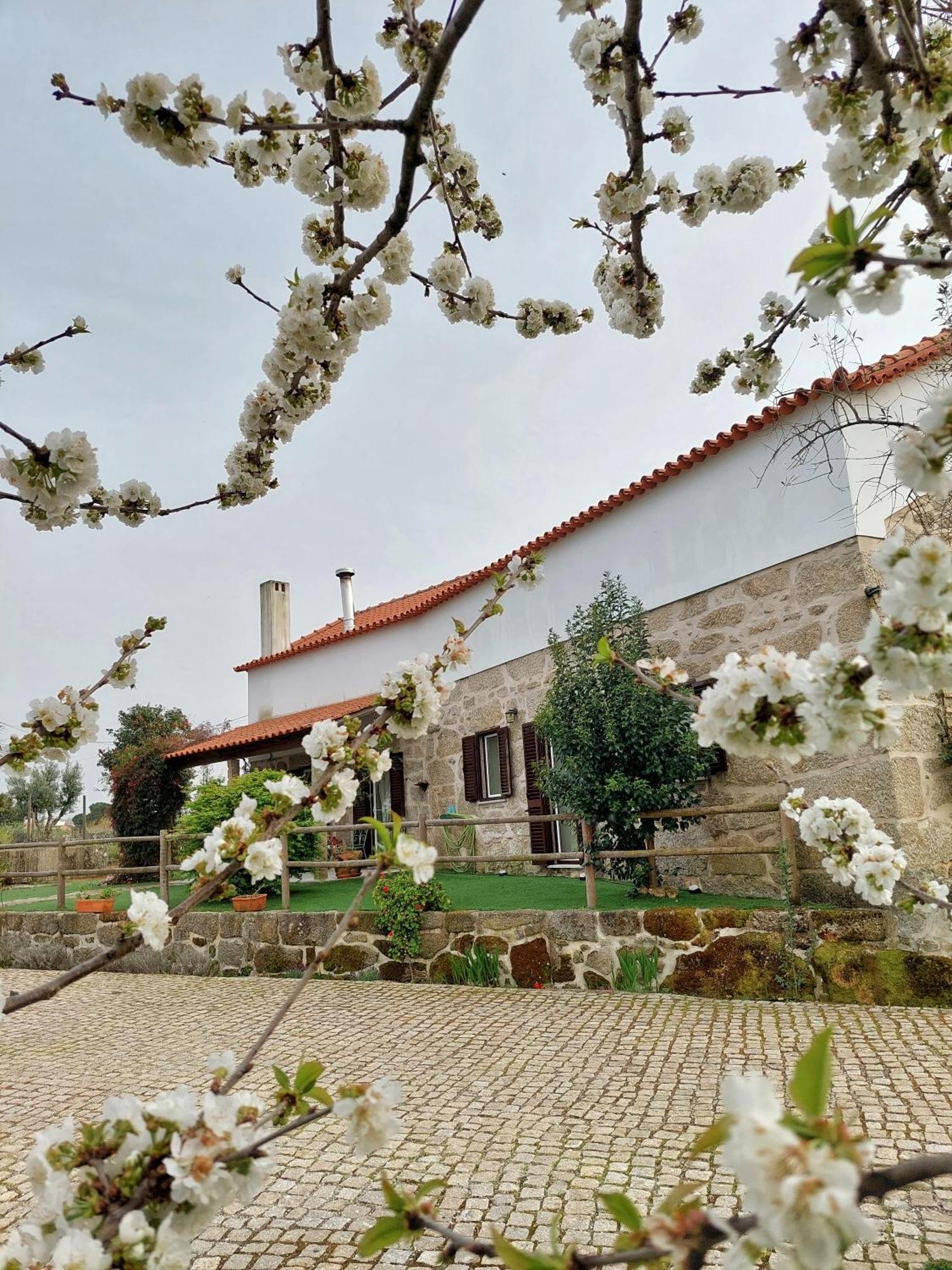 A Casa Do Soito Vila Oliveira do Hospital Exterior foto